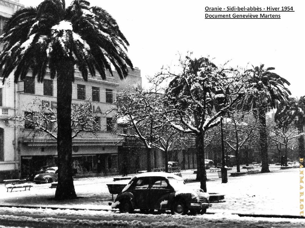 Sidi bel abbes 382.jpg